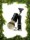 Black Square Handled Badger Shaving Brush and Razo...