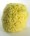 Natural Honeycomb Sponge